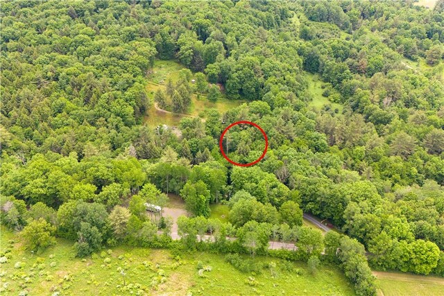 aerial view featuring a forest view