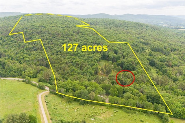 drone / aerial view featuring a mountain view and a view of trees