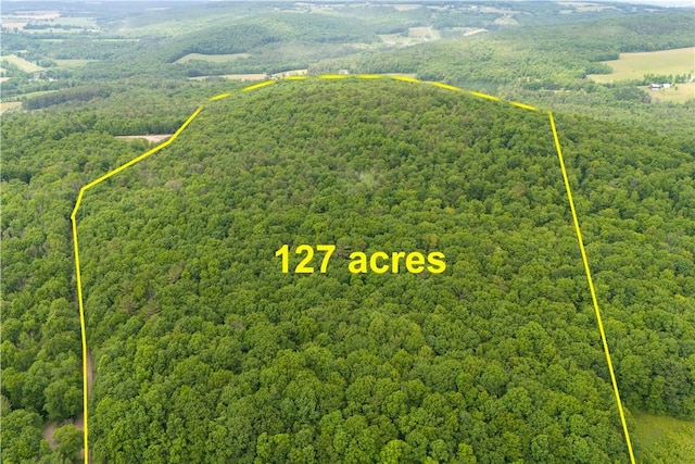 birds eye view of property with a forest view