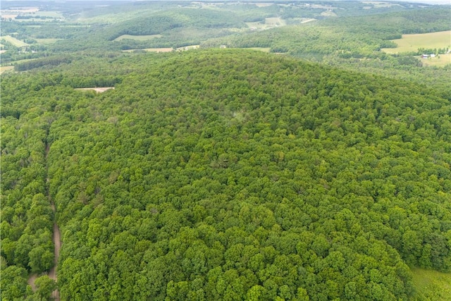 drone / aerial view with a forest view