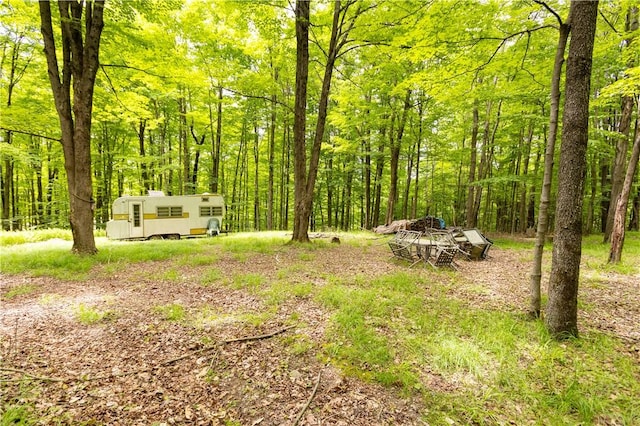 view of yard featuring a view of trees