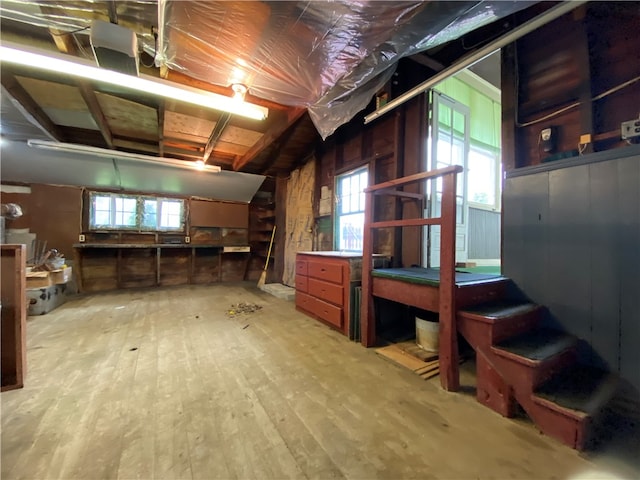 interior space featuring a healthy amount of sunlight and wood-type flooring