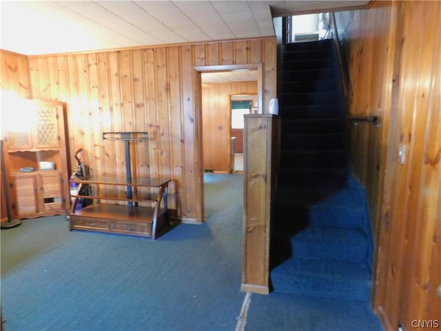 exercise room with wood walls and carpet flooring