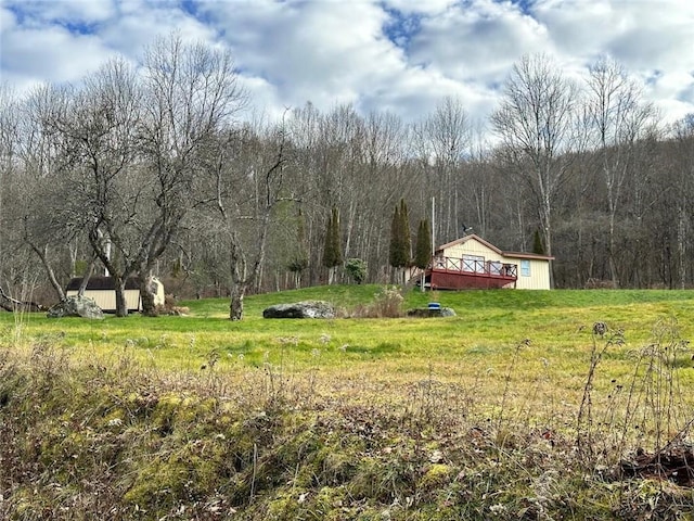 view of yard with a rural view