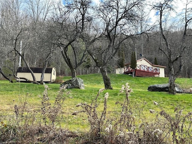 view of yard featuring a shed