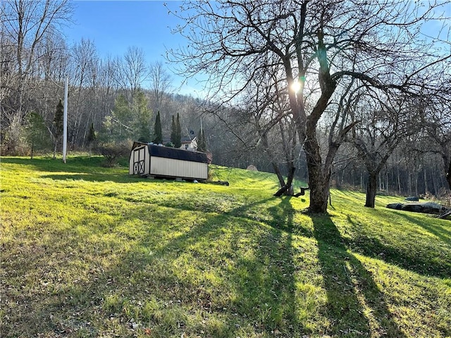 view of yard featuring a storage shed