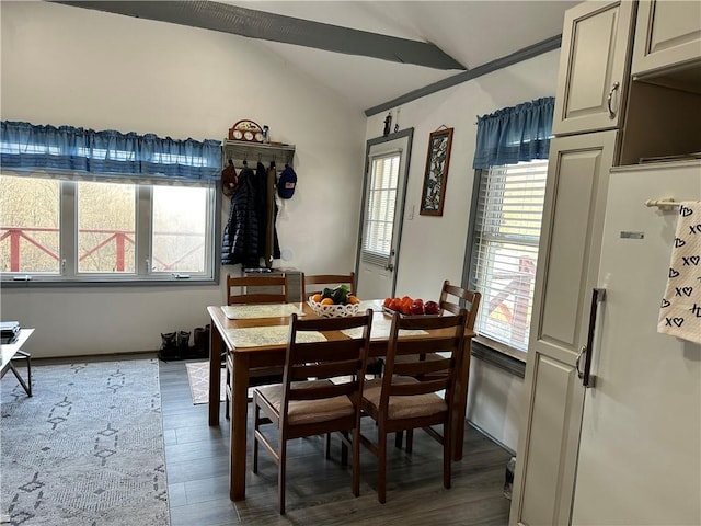 dining room featuring a healthy amount of sunlight, dark hardwood / wood-style flooring, and vaulted ceiling