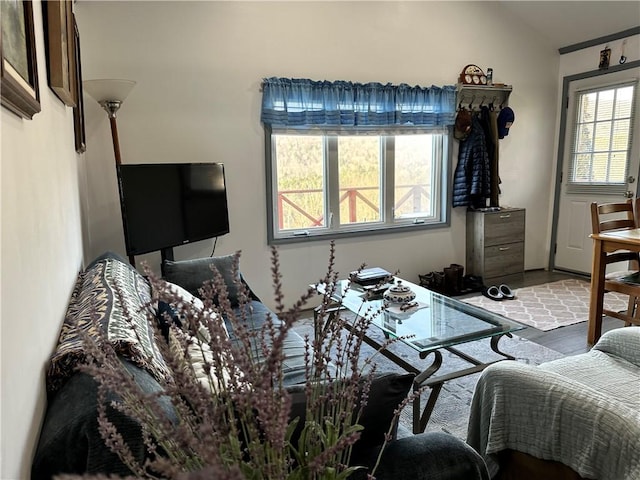 bedroom featuring light wood-type flooring and lofted ceiling