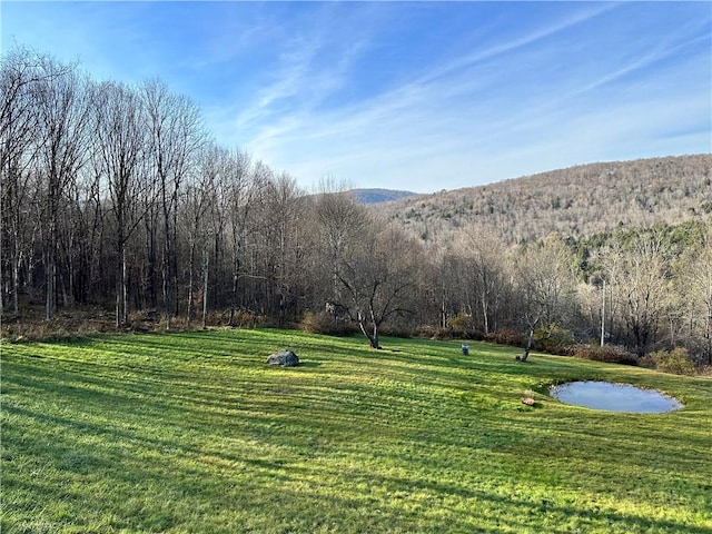 view of property's community featuring a water view and a yard