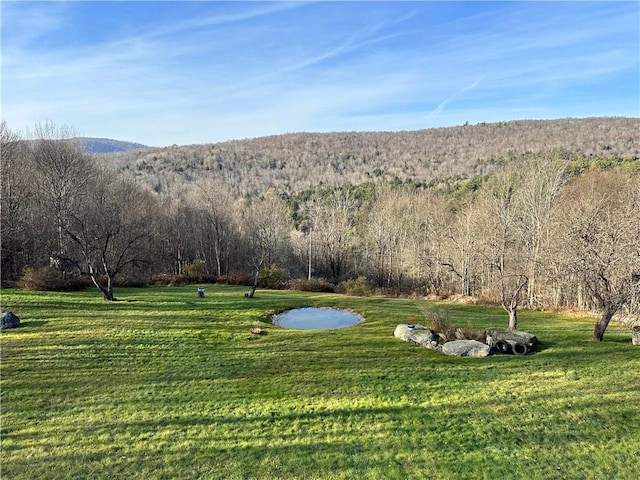 surrounding community featuring a yard