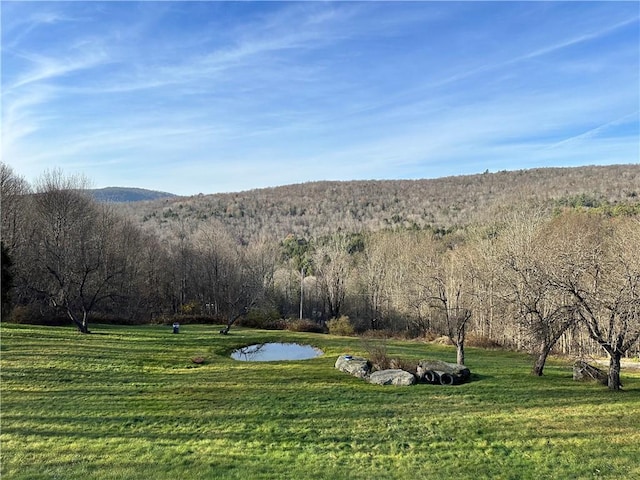 mountain view with a water view