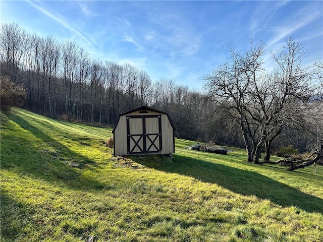 view of yard featuring a storage shed