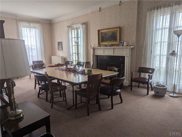 dining room featuring carpet flooring, ornamental molding, and radiator