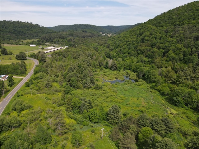 birds eye view of property with a mountain view