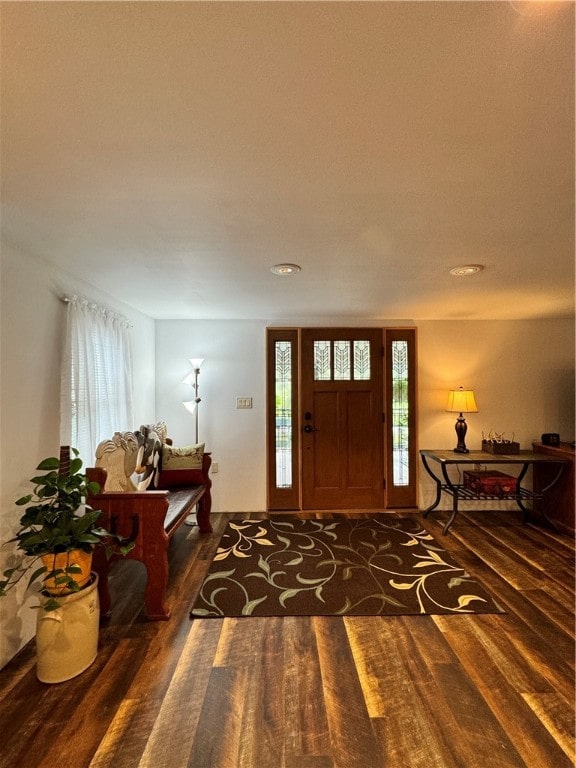 foyer entrance featuring plenty of natural light