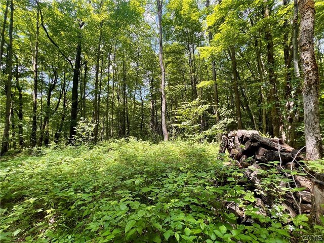 17 Cassio Rd, Redfield, NY 13493 - photo 5