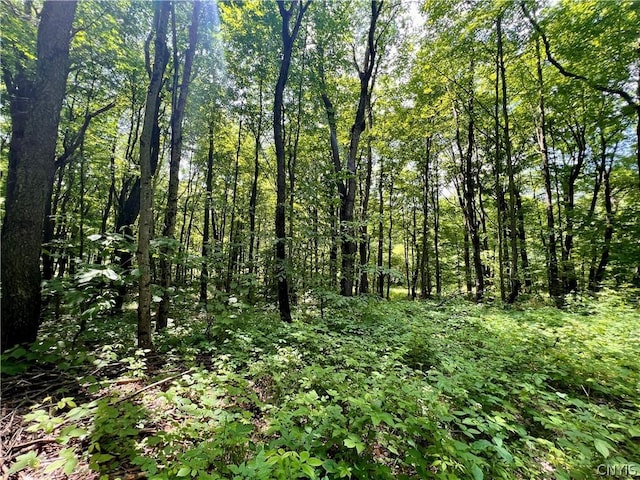17 Cassio Rd, Redfield, NY 13493 - photo 6