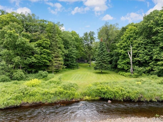 1190 Moose River Tract Rd, Webb, NY 13472 - photo 8
