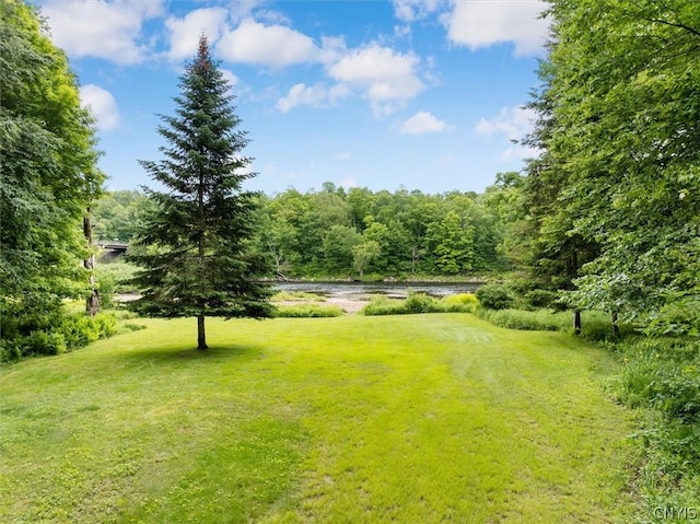 view of yard with a water view