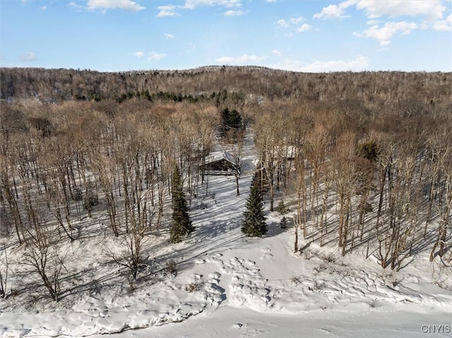 1190 Moose River Tract Rd, Webb, NY 13472 - photo 44
