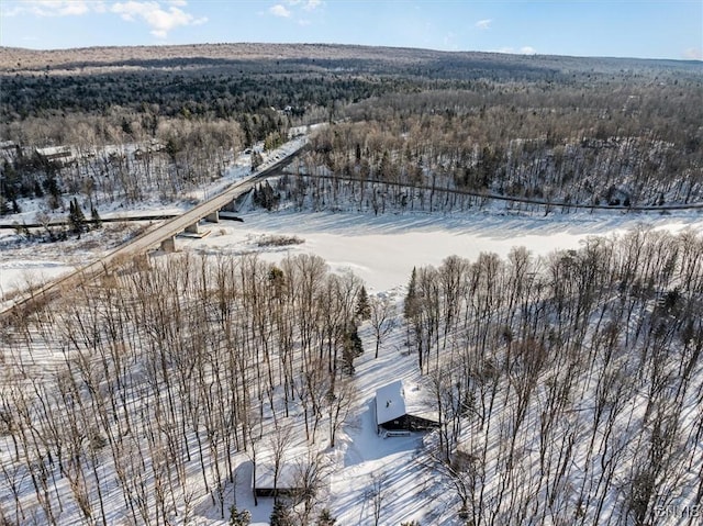 view of snowy aerial view