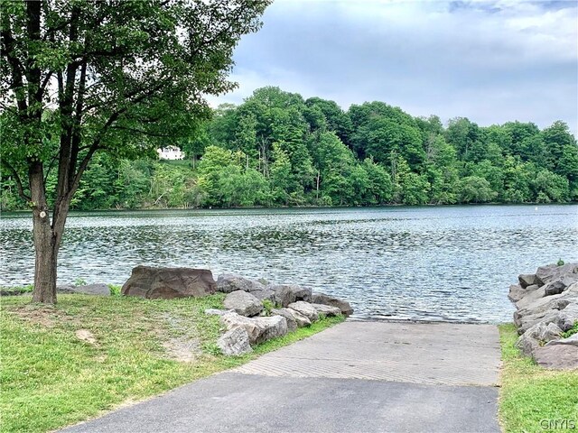 2739 State Route 48, Minetto, NY 13115 - water view featuring a forest