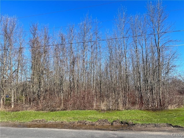 0 W Lake Rd, Oswego-Town NY, 13126 land for sale