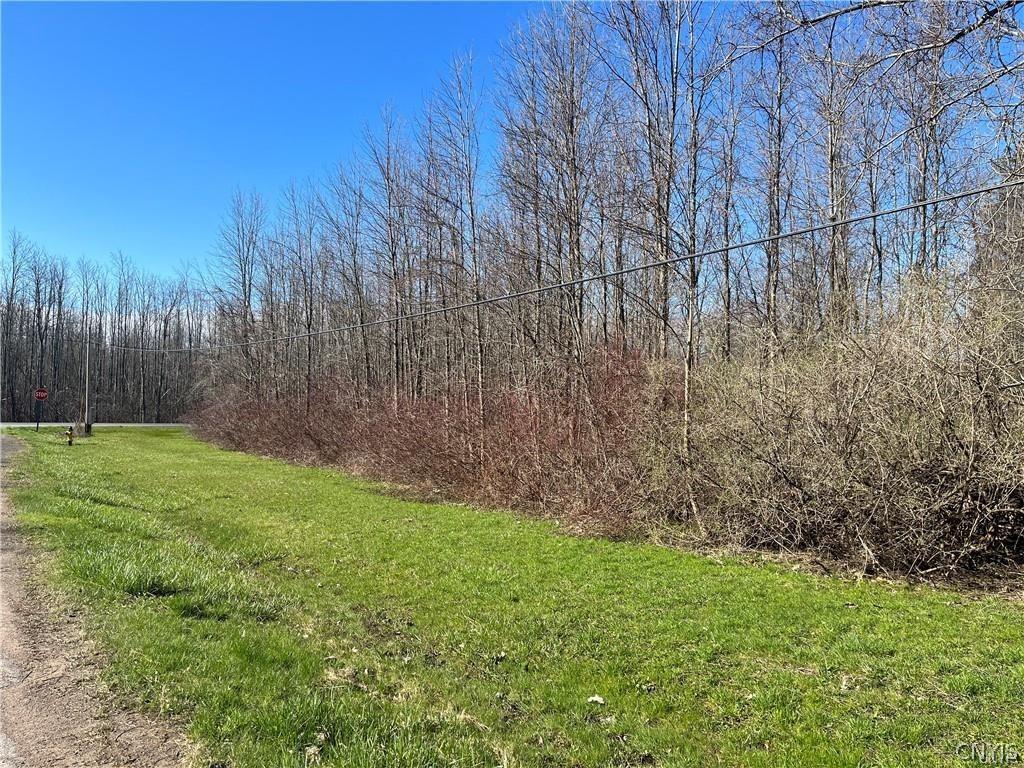 0 W Lake Rd, Oswego-Town, NY 13126 - photo 2