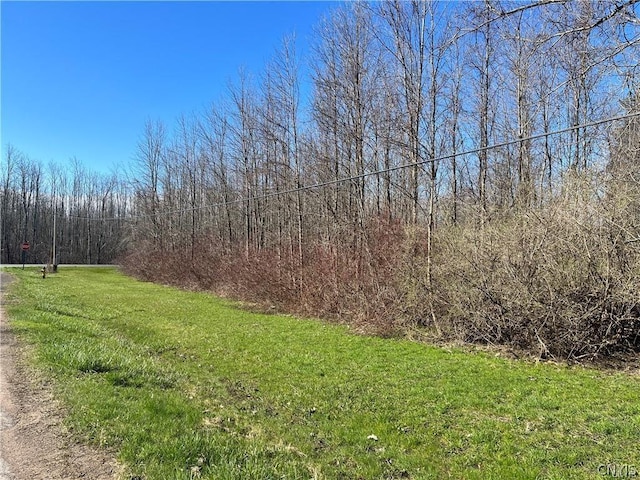 0 W Lake Rd, Oswego-Town, NY 13126 - photo 2