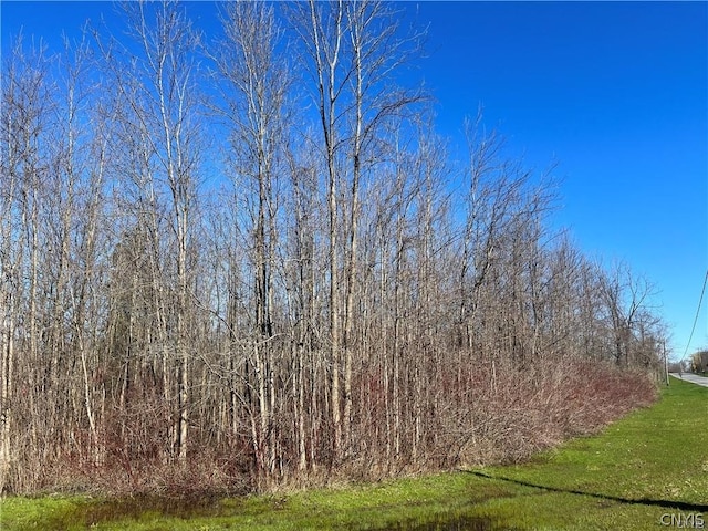 Listing photo 3 for 0 W Lake Rd, Oswego-Town NY 13126