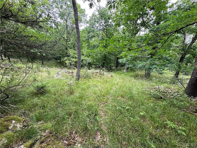 0 Murray, Clayton NY, 13624 land for sale