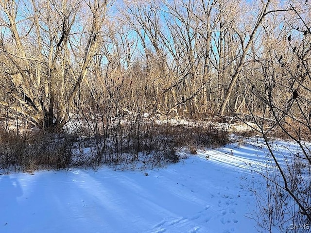 view of yard layered in snow