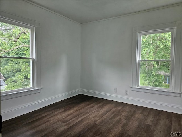 unfurnished room with crown molding and dark hardwood / wood-style flooring