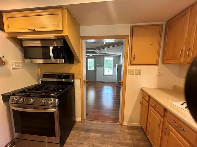 kitchen with light hardwood / wood-style floors and appliances with stainless steel finishes