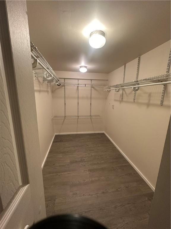 spacious closet with dark wood-type flooring