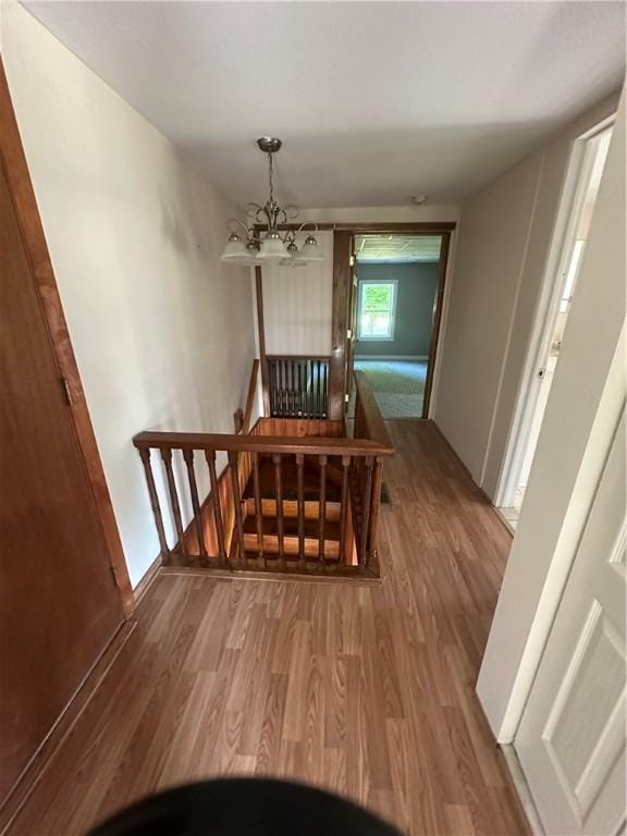 hallway with an inviting chandelier and hardwood / wood-style flooring