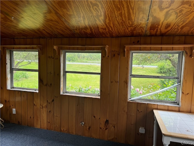 spare room with wooden walls, carpet flooring, and wood ceiling