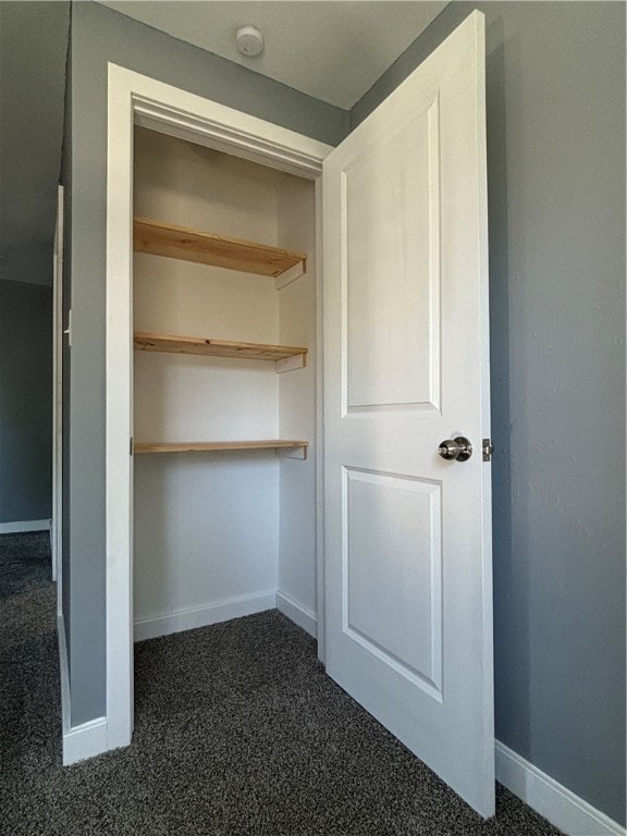 view of closet