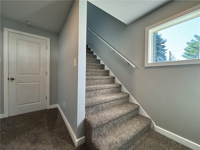 stairway with carpet