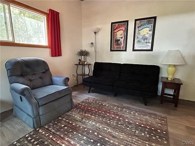 living room featuring wood finished floors