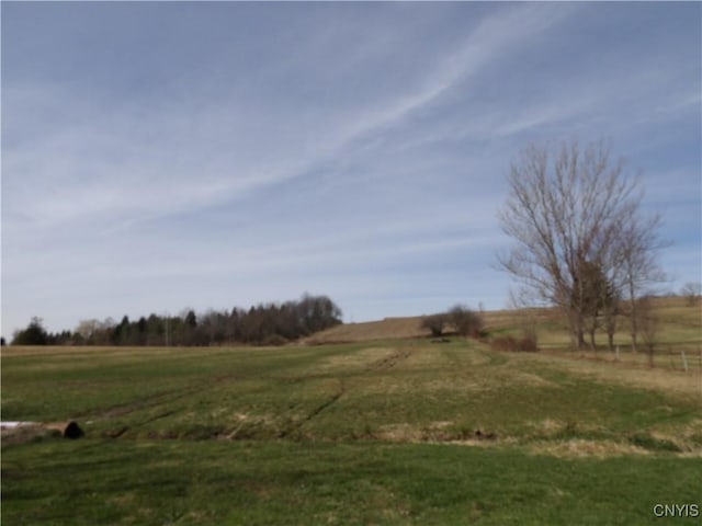 view of yard with a rural view