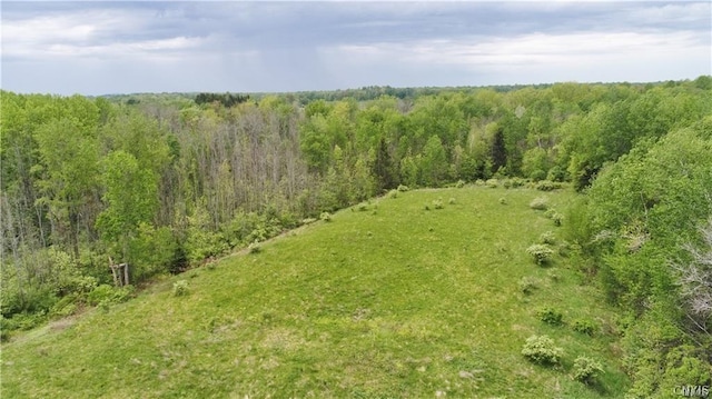 9141 River Rd, Lysander NY, 13027 land for sale