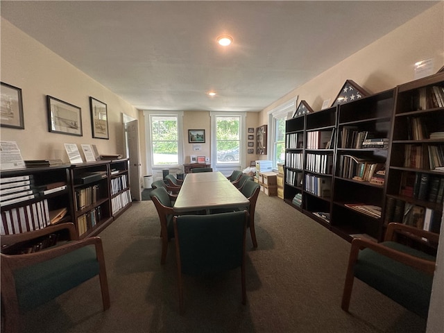 interior space with carpet floors