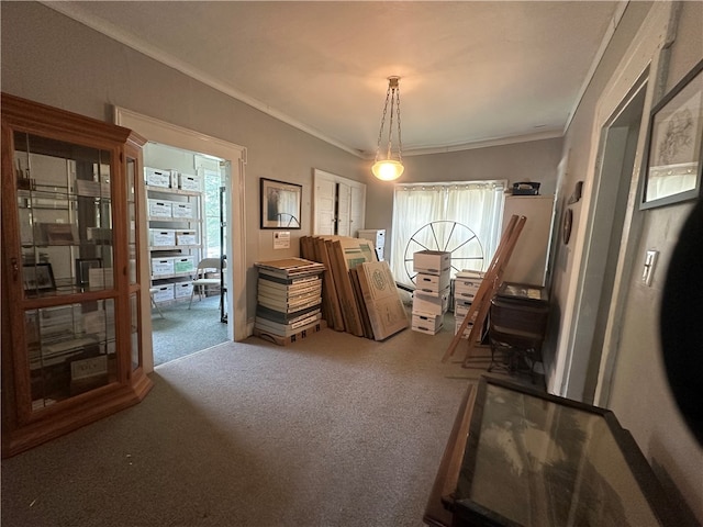 living area featuring crown molding and carpet