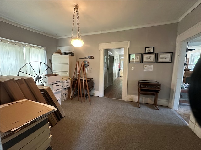 interior space with ornamental molding and carpet floors