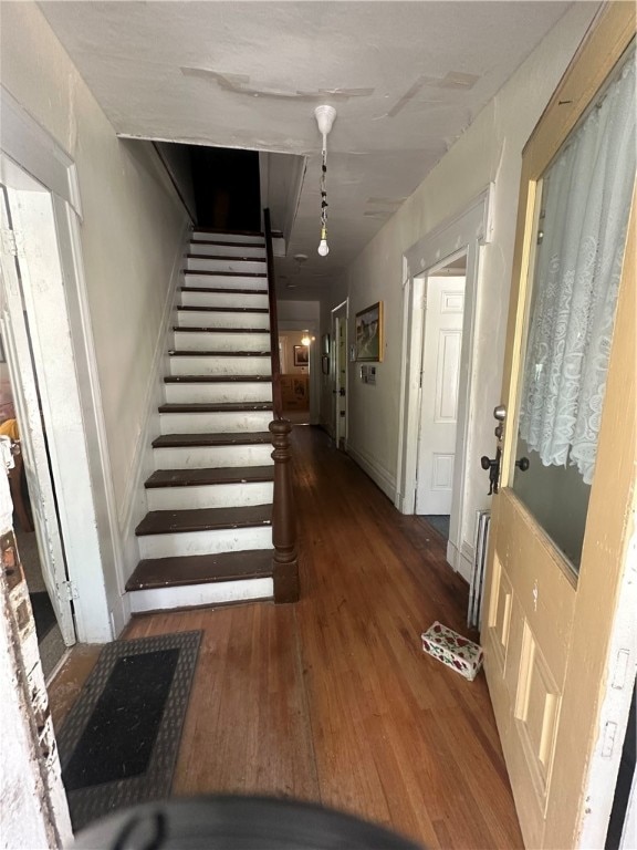 staircase featuring dark wood-type flooring