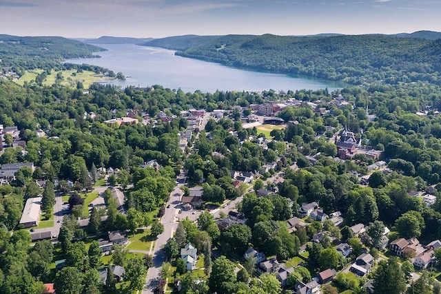 73 Elm St, Otsego, NY 13326 - aerial view with a water and mountain view and a wooded view