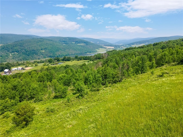 property view of mountains