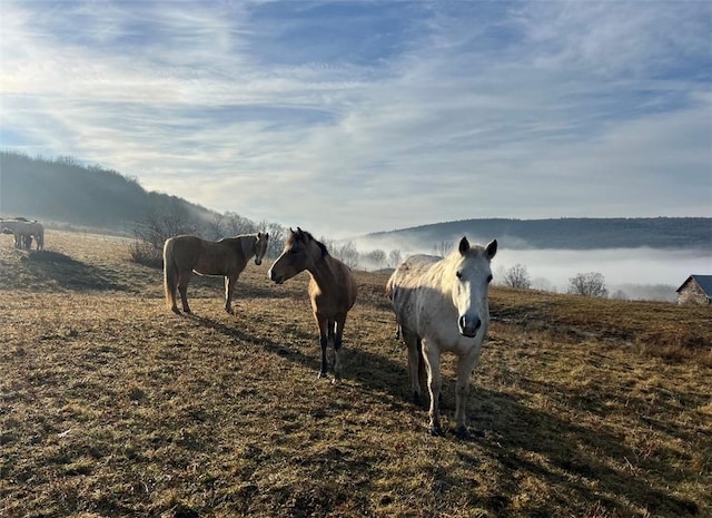 view of stable featuring a rural view