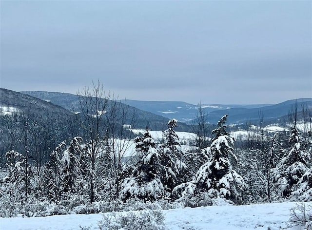 view of mountain feature